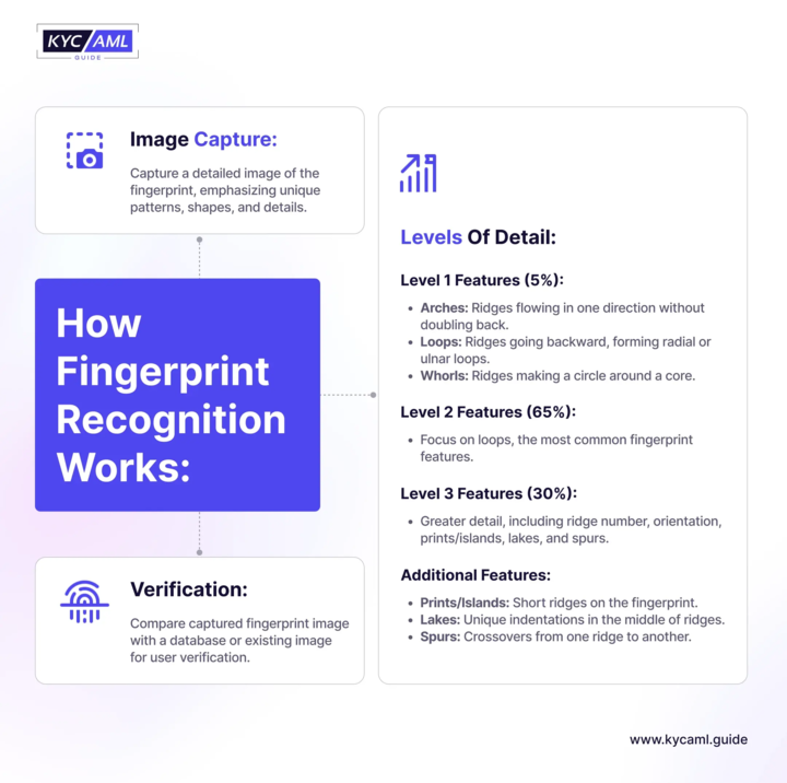 How Fingerprint Recognition Works?